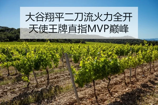 大谷翔平二刀流火力全开 天使王牌直指MVP巅峰