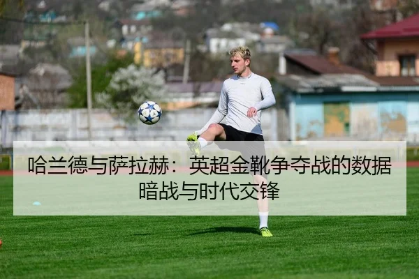ha-lan-de-yu-sa-la-he-ying-chao-jin-xue-zheng-duo-zhan-de-shu-ju-an-zhan-yu-shi-dai-jiao-feng-3-351.jpg